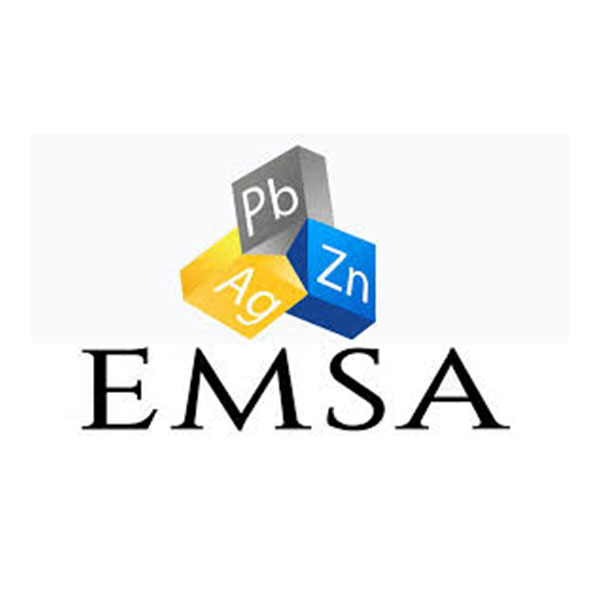 EMSA